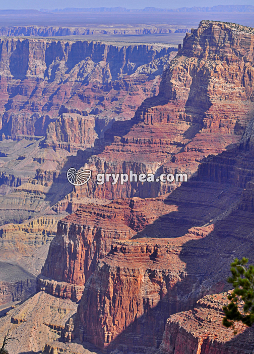 Grand Canyon - gryphea.com